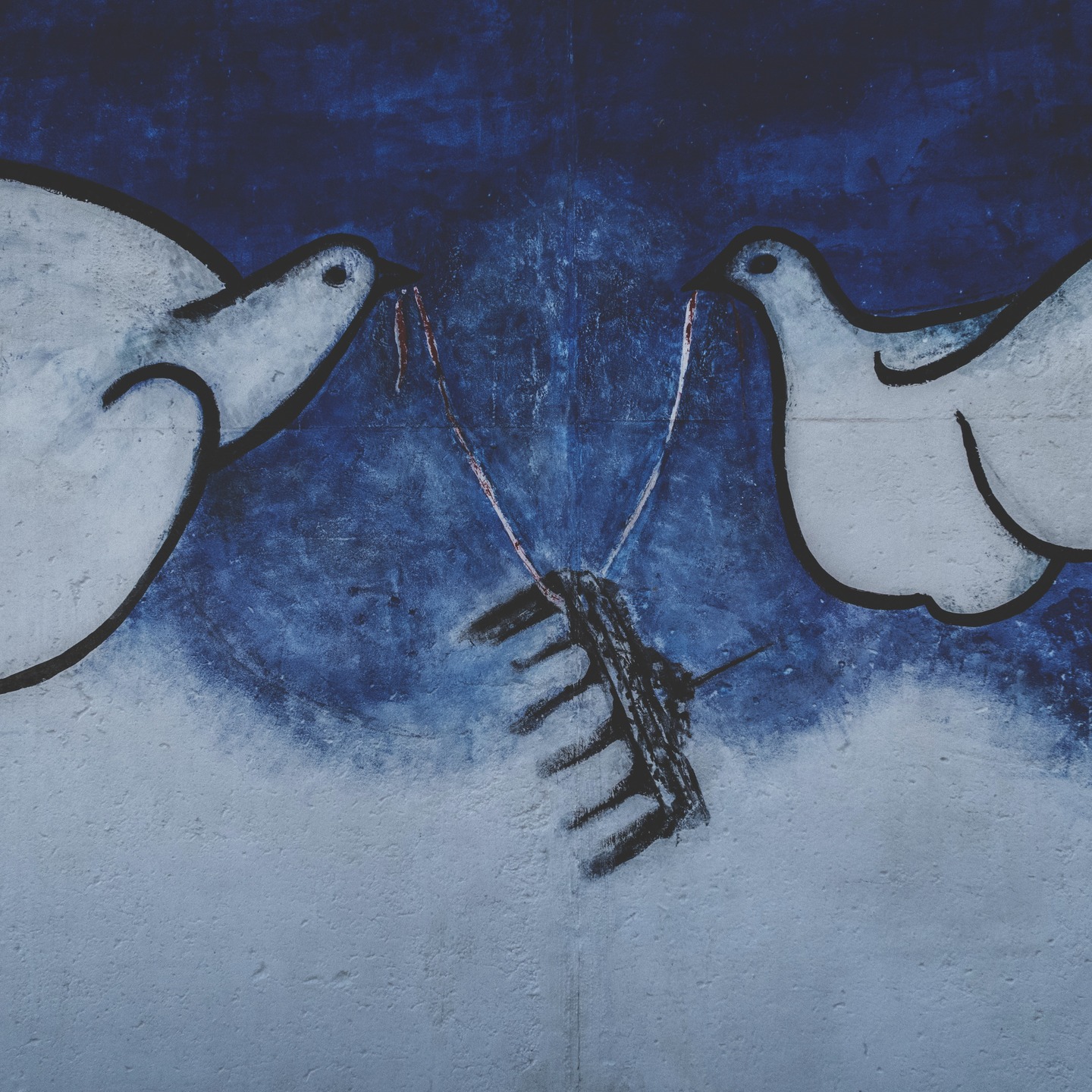 Als je je afvraagt waar ik zoal uithang... Ik ben onderweg naar vrede [Fred in het Noors]. Elke maand werk ik m'n scheepsjournaal bij. 
Lees maar via de link in bio.

📸 @elsvanbosbekephotographer